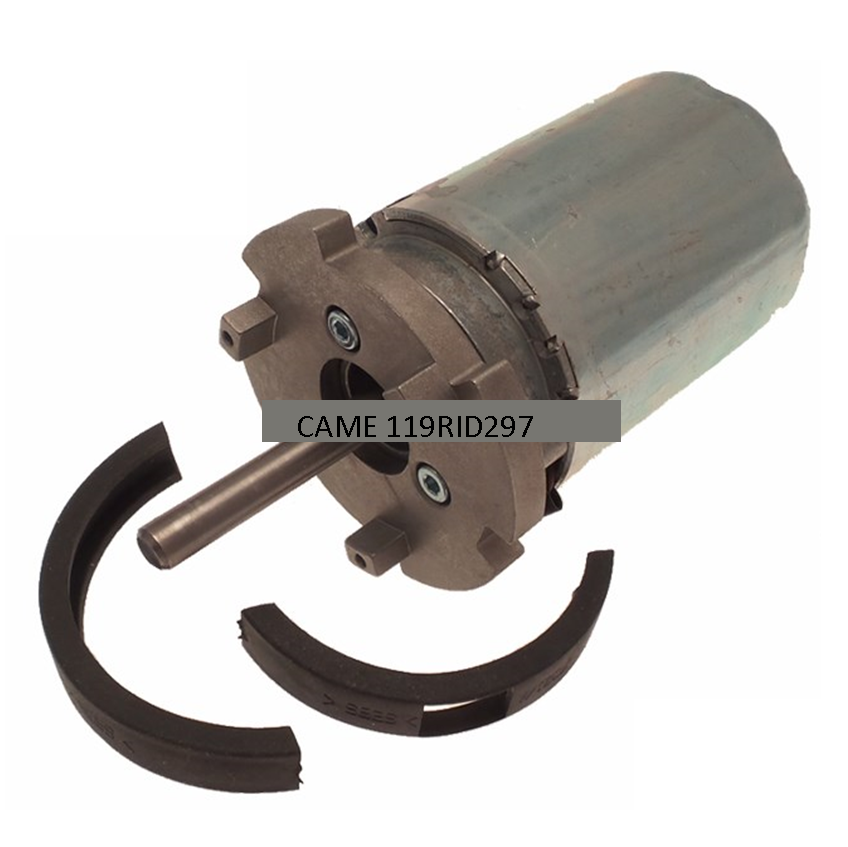 CAME AMICO MOTOR UNIT 119RID297 88001-0138 230v